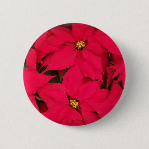 Badge Rond 5 Cm Un tas de Poinsettias de Noël aux couleurs vives