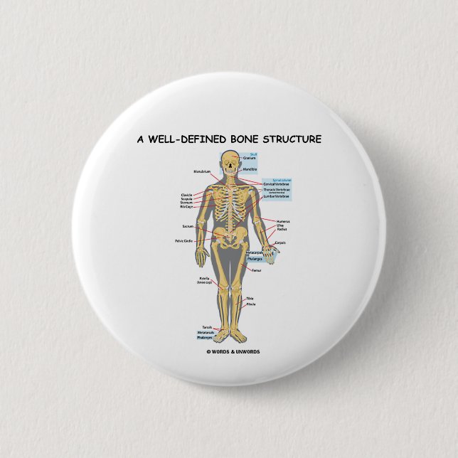 Badge Rond 5 Cm Une structure bien définie d'os (squelette humain) (Devant)