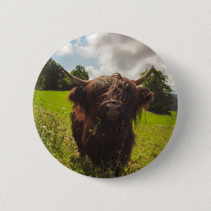 Badge Rond 5 Cm Vache noire pâturage vert champ soleil