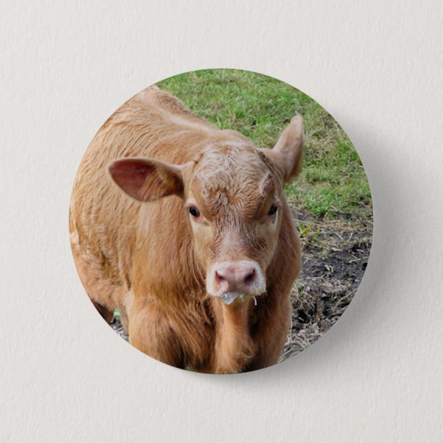 BADGE ROND 5 CM VACHES (Devant)