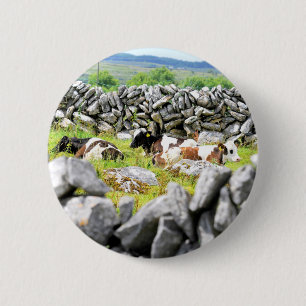 Badge Rond 5 Cm Vaches qui mugissent