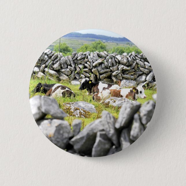 Badge Rond 5 Cm Vaches qui mugissent (Devant)