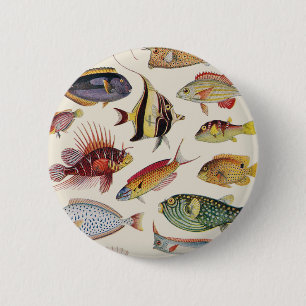 Badge Rond 5 Cm Variétés de poissons