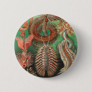 Badge Rond 5 Cm Vers, Annélides Chaetopoda par Ernst Haeckel
