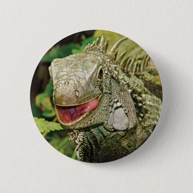 Badge Rond 5 Cm Vert d'iguane (Devant)