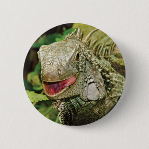Badge Rond 5 Cm Vert d'iguane