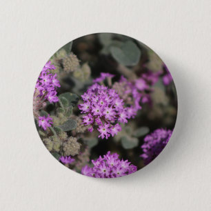 Badge Rond 5 Cm Verveine violette Réserve faunique de Coachella Va