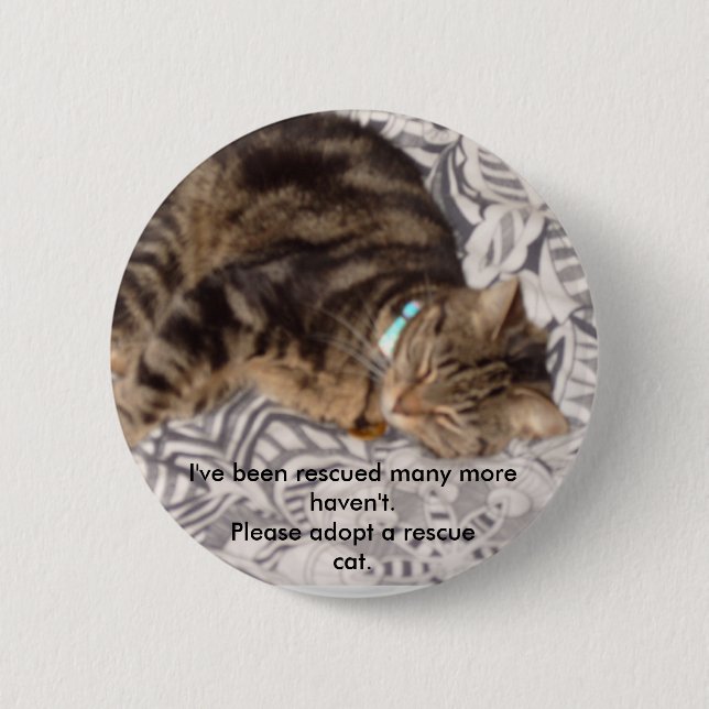 Badge Rond 5 Cm Veuillez secourir un chat (Devant)