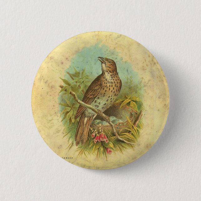 Badge Rond 5 Cm Vintage de poussée (Devant)
