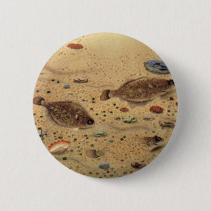 Badge Rond 5 Cm Vintages, Marine Ocean Life Poisson plat
