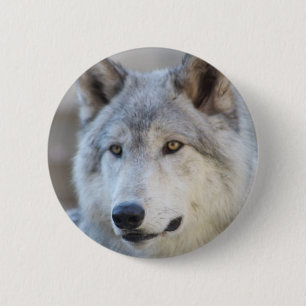 Badge Rond 5 Cm Visage de loup gris