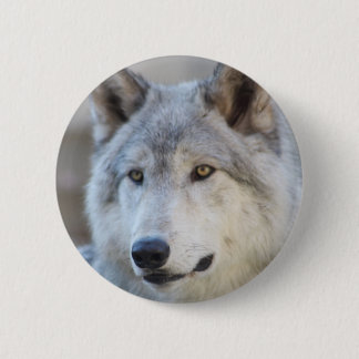 Badge Rond 5 Cm Visage de loup gris