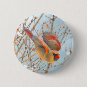 Badge Rond 5 Cm Vol Cardinal Nord - Photo originale