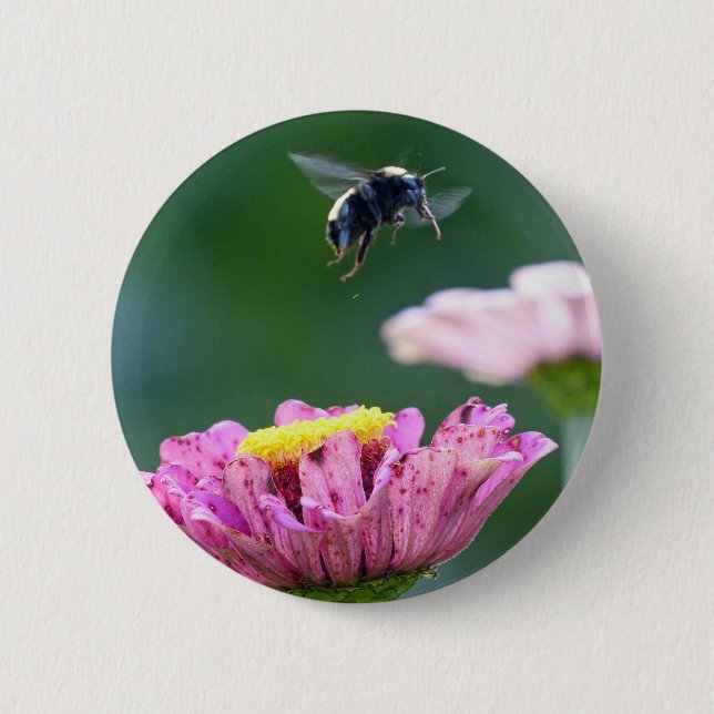 Badge Rond 5 Cm Vol du bourdon (Devant)