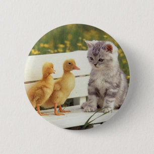 Badge Rond 5 Cm Vous ne ressemblez pas à Kitty ? Quels êtes-vous