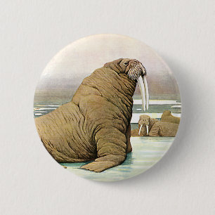 Badge Rond 5 Cm Walrus vintage sur Iceberg en Arctique, Animaux sa