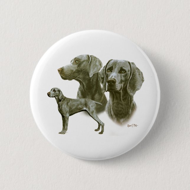 Badge Rond 5 Cm Weimeraner (Devant)