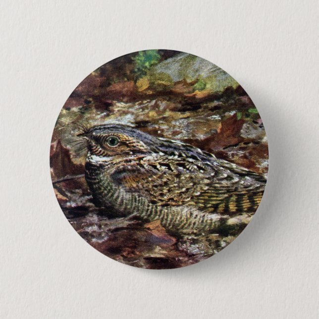 Badge Rond 5 Cm Whippoorwill caché (Devant)