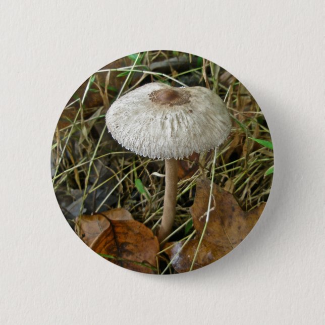 Badge Rond 5 Cm White Parasol Mushroom Coordinating Items (Devant)