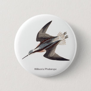 Badge Rond 5 Cm Wilson's Phalarope par John James Audubon,
