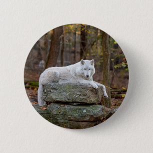 Badge Rond 5 Cm Wolf à l'automne