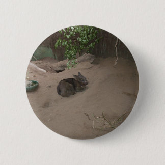 Badge Rond 5 Cm Wombat
