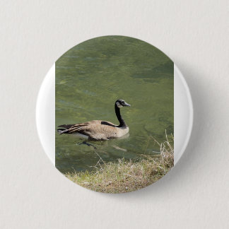 Badge Rond 5 Cm xcvdvdf