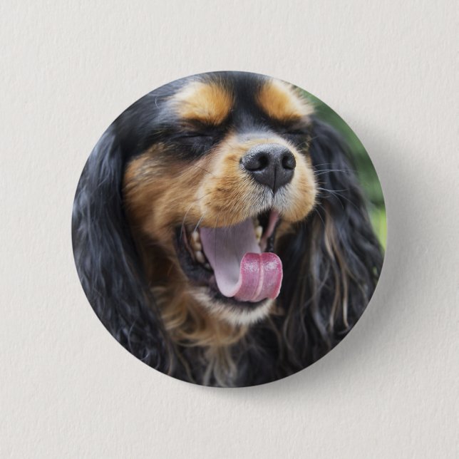 Badge Rond 5 Cm Yawning Cavalier King Charles Spaniel (Devant)