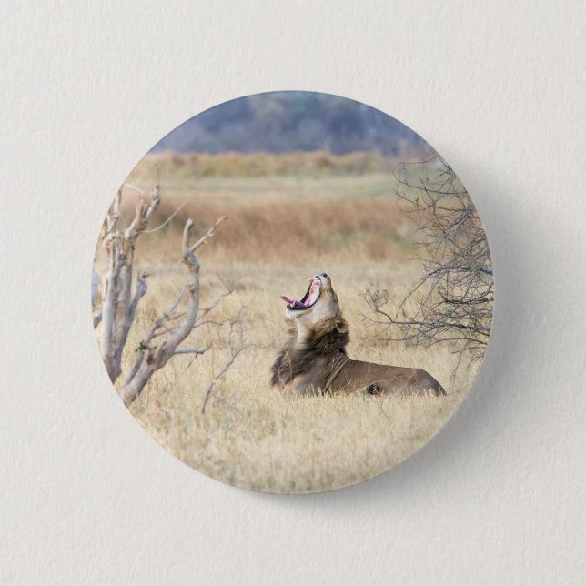 Badge Rond 5 Cm Yawning lion (Devant)