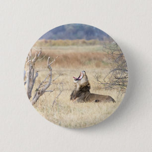 Badge Rond 5 Cm Yawning lion