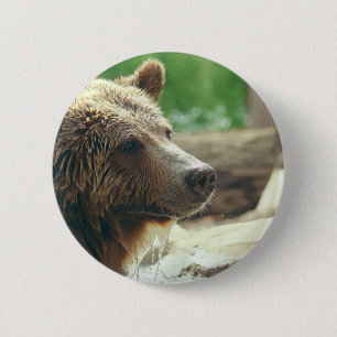 Badge Rond 5 Cm Yeux animaux de visage d'ours adorable mignon de