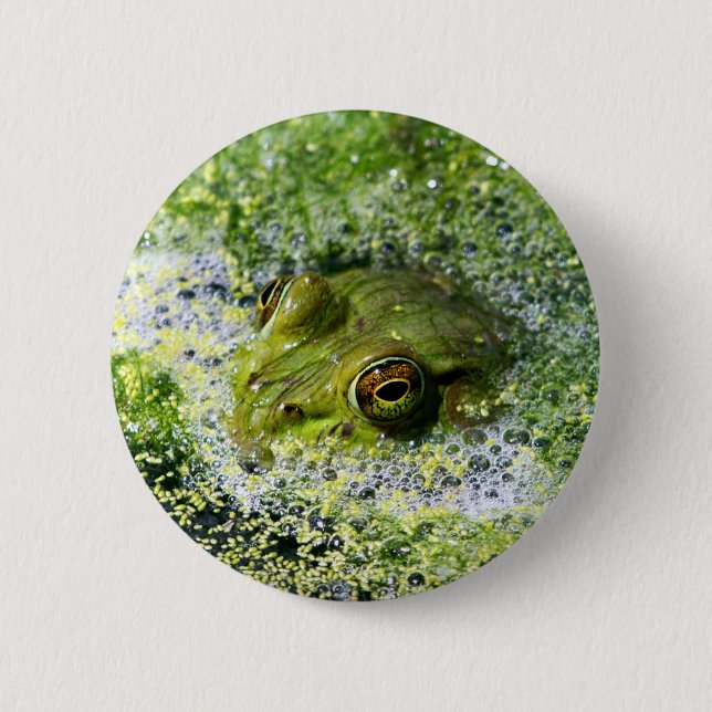 Badge Rond 5 Cm Yeux de grenouille (Devant)