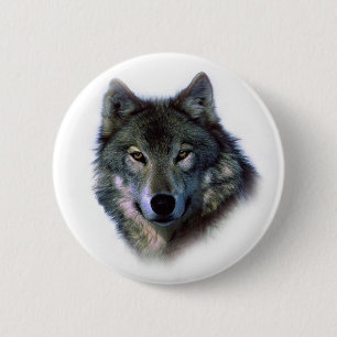 Badge Rond 5 Cm Yeux de loup gris