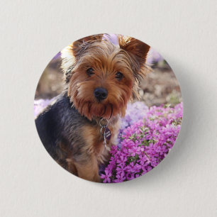 Badge Rond 5 Cm Yorkshire Terrier
