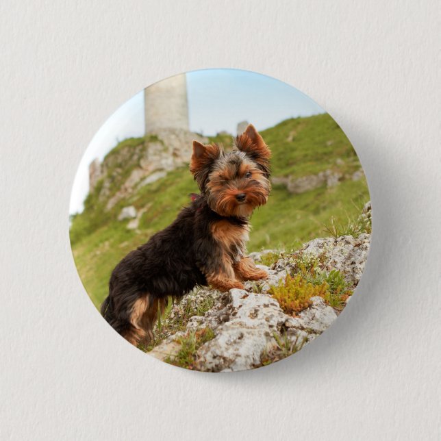 Badge Rond 5 Cm Yorkshire Terrier (Devant)
