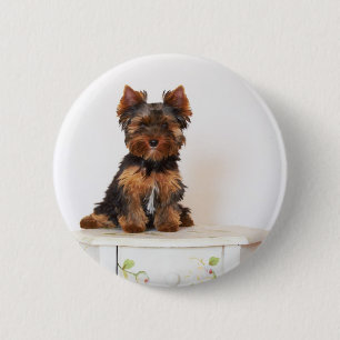 Badge Rond 5 Cm Yorkshire Terrier
