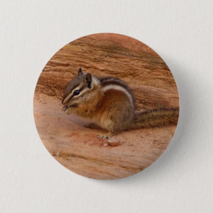 Badge Rond 5 Cm Zion Chipmunk sur Red Rocks
