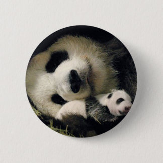 Badge Rond 5 Cm zoo-atlanta_giant_panda_lun-lun_and_cub