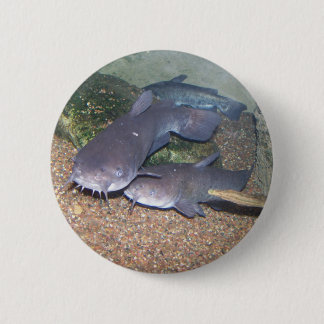Badge Rond 5 Cm Zoo de pêche de poisson-chat