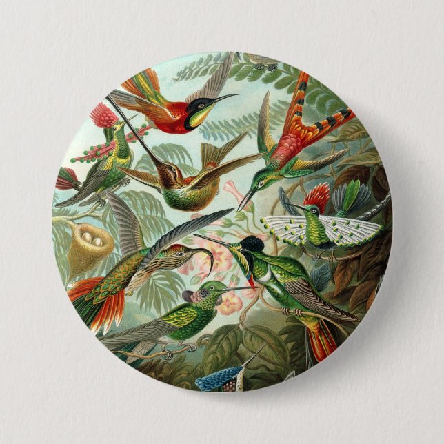 Badge Rond 7,6 Cm 12 oiseaux charmeurs américains peints (Devant)