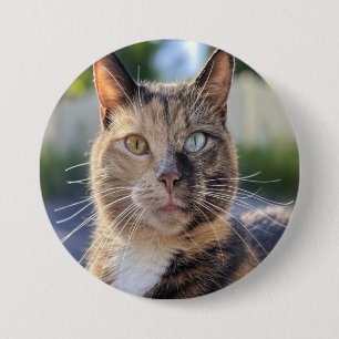 Badge Rond 7,6 Cm Ajouter une Personnaliser photo de chat