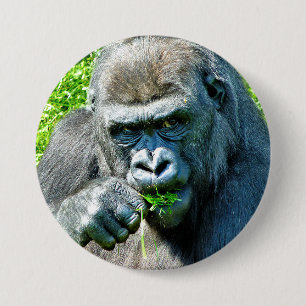 BADGE ROND 7,6 CM ANIMAUX SAUVAGES - GORILLAS