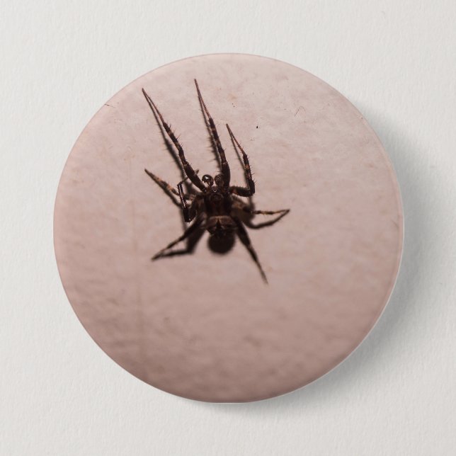 Badge Rond 7,6 Cm Araignée loup (Devant)