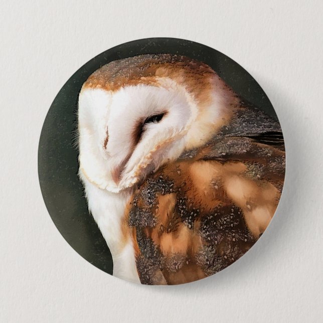 BADGE ROND 7,6 CM BARN OWL (Devant)