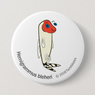 Badge Rond 7,6 Cm Bleheri de TM-06-Hemigrammus