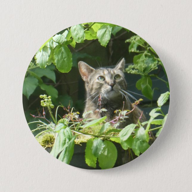 Badge Rond 7,6 Cm Bouton de chat pour observer les oiseaux (Devant)