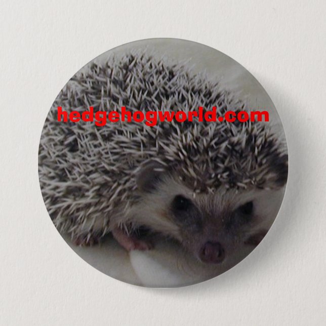 Badge Rond 7,6 Cm bouton de hérisson de DST (Devant)