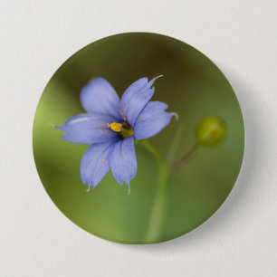 Badge Rond 7,6 Cm Bouton floral de fleur sauvage d'herbe observé pa