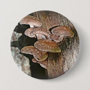 Badge Rond 7,6 Cm Bouton Grand Champignons