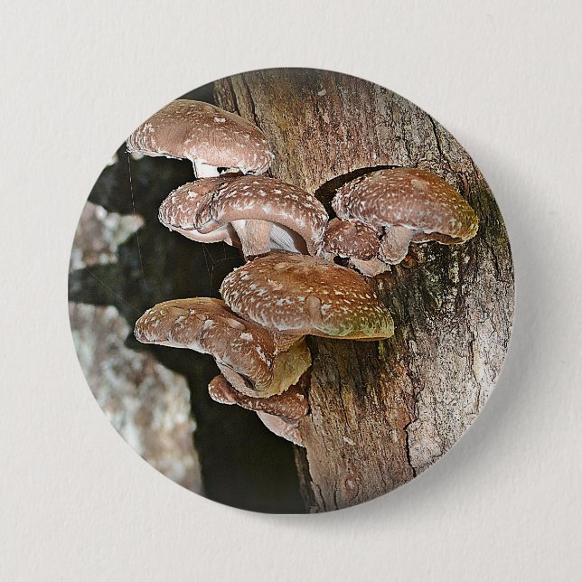 Badge Rond 7,6 Cm Bouton Grand Champignons (Devant)